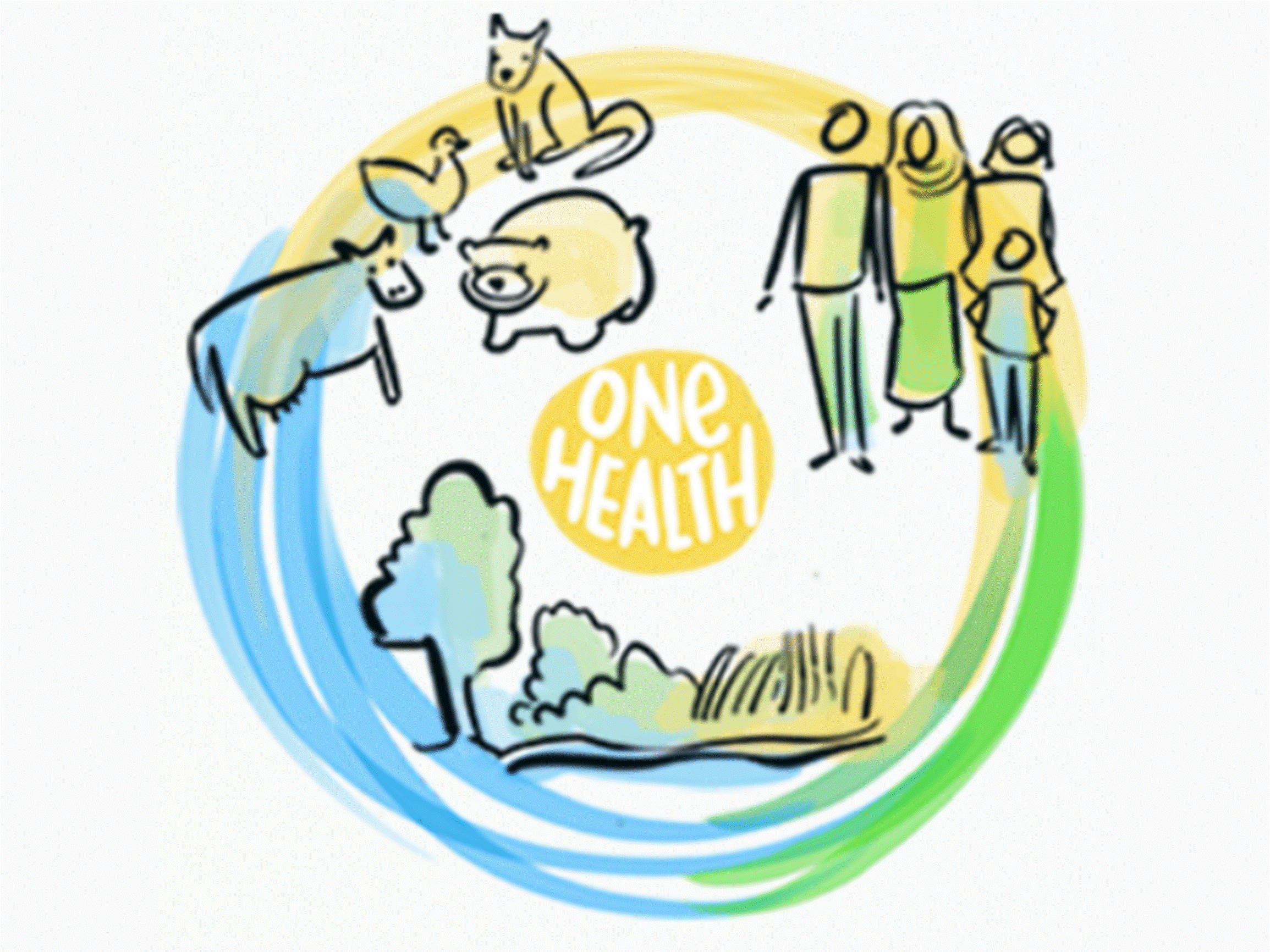 Graphic of One Health, with animals, Human and the Environement