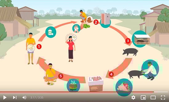 解決豬肉絛蟲的單一健康方法