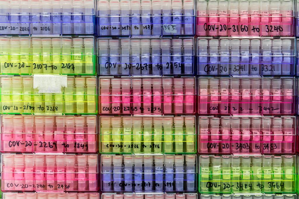 02 SARS-CoV-2 samples